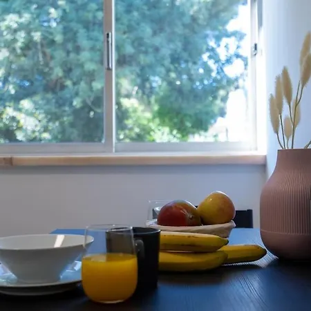 Apartament Encarnacao Metro *